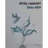 Diriliş Yankıları - İlyas Ekin - Cağaloğlu Yayınevi