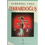 Evrensel Yasa: Tekrardoğuş 3 - Kolektif - Ruh ve Madde Yayınları