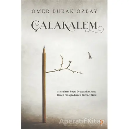 Çalakalem - Ömer Burak Özbay - Cinius Yayınları