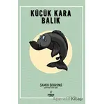 Küçük Kara Balık - Samed Behrengi - Payidar Çocuk