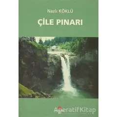 Çile Pınarı - Nazlı Köklü - Can Yayınları (Ali Adil Atalay)