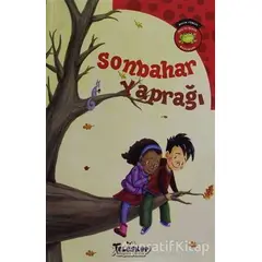 Sonbahar Yaprağı - Carl Emerson - Teleskop Popüler Bilim