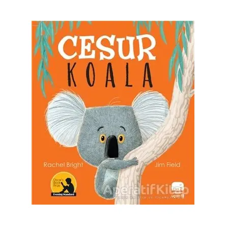 Cesur Koala - Rachel Bright - Uçan Fil Yayınları