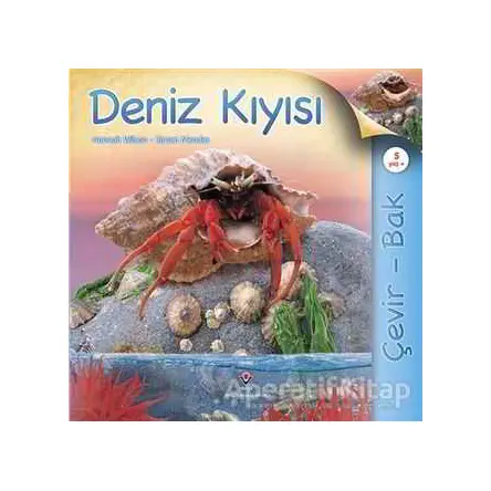 Çevir Bak - Deniz Kıyısı - Simon Mendez - TÜBİTAK Yayınları