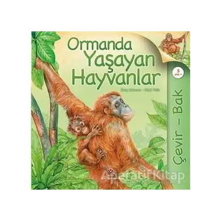 Çevir Bak - Ormanda Yaşayan Hayvanlar - Nicki Palin - TÜBİTAK Yayınları