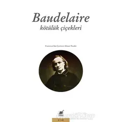 Kötülük Çiçekleri - Charles Baudelaire - Ayrıntı Yayınları