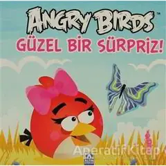 Angry Birds - Güzel Bir Sürpriz! - Kolektif - Altın Kitaplar