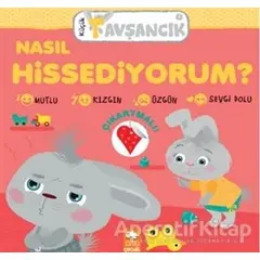 Küçük Tavşancık - Nasıl Hissediyorum? - Rasa Dmuchovskiene - Eksik Parça Yayınları