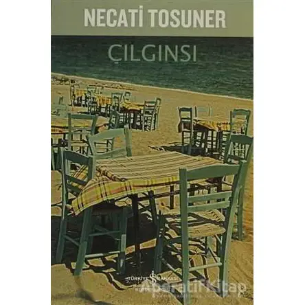 Çılgınsı - Necati Tosuner - İş Bankası Kültür Yayınları