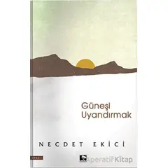 Güneşi Uyandırmak - Necdet Ekici - Çınaraltı Yayınları