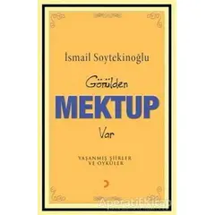 Gönülden Mektup Var - İsmail Soytekinoğlu - Cinius Yayınları