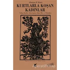 Kurtlarla Koşan Kadınlar - Clarissa Pinkola Estes - Ayrıntı Yayınları