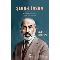 Şerh-i İnsan - Talip Sınırtepe - Çıra Yayınları