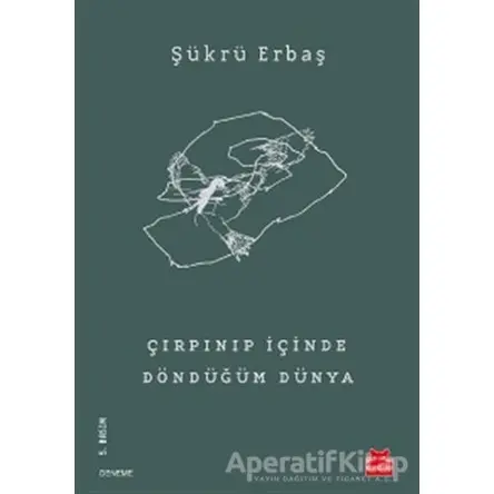 Çırpınıp İçinde Döndüğüm Dünya - Şükrü Erbaş - Kırmızı Kedi Yayınevi