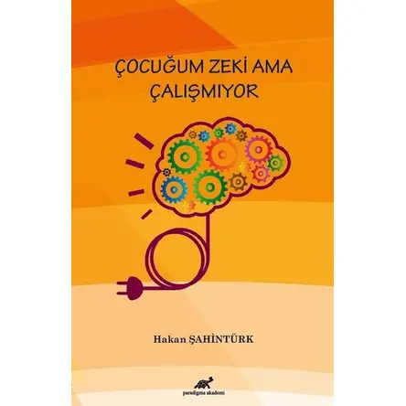 Çocuğum Zeki Ama Çalışmıyor - Hakan Şahintürk - Paradigma Akademi Yayınları