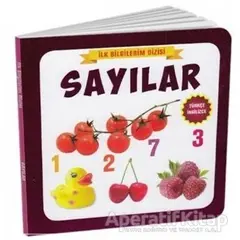 Sayılar - İlk Bilgilerim Dizisi - Kolektif - Çocuk Gezegeni