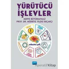 Yürütücü İşlevler - Müdriye Yıldız Bıçakçı - Nobel Akademik Yayıncılık