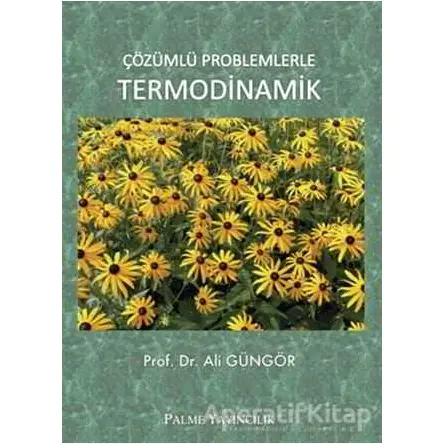 Çözümlü Problemlerle Termodinamik - Ali Güngör - Palme Yayıncılık