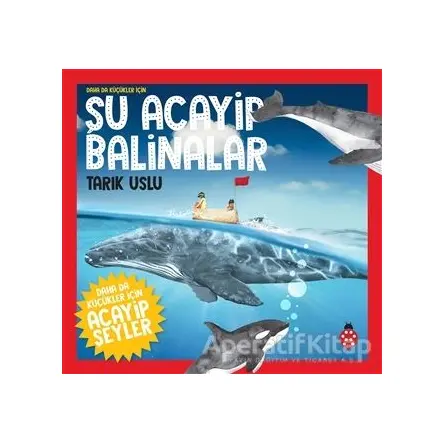 Daha da Küçükler İçin Şu Acayip Balinalar - Daha da Küçükler İçin Acayip Şeyler 4