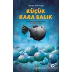 Küçük Kara Balık - Samed Behrengi - Turkuvaz Çocuk