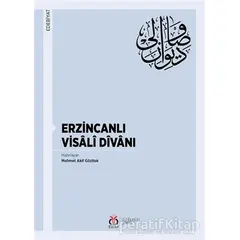 Erzincanlı Visali Divanı - Mehmet Akif Gözitok - DBY Yayınları