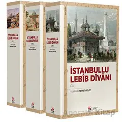 İstanbullu Lebib Divanı (3 Cilt, Takım) - Mehmet Arslan - DBY Yayınları