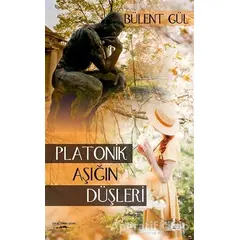 Platonik Aşığın Düşleri - Bülent Gül - Sokak Kitapları Yayınları