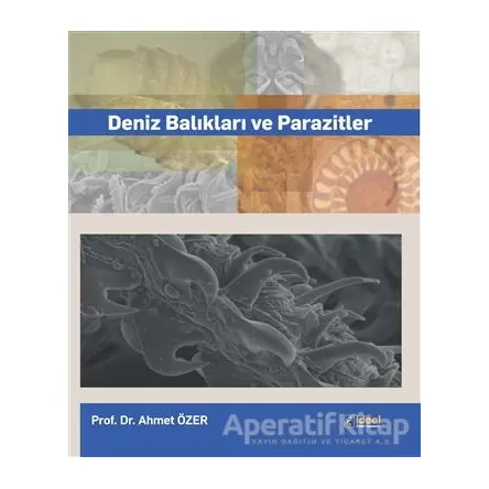 Deniz Balıkları ve Parazitler - Ahmet Özer - İdeal Kültür Yayıncılık Ders Kitapları