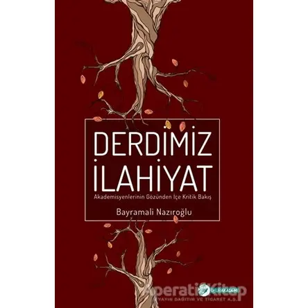 Derdimiz İlahiyat - Bayramali Nazıroğlu - Okur Akademi