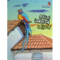 A Bird Landed on a Roof - Self Control - Neriman Karatekin - EDAM