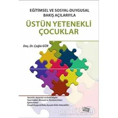 Eğitimsel ve Sosyal - Duygusal Bakış Açılarıyla Üstün Yetenekli Çocuklar