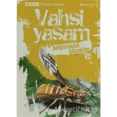 Vahşi Yaşam 2 - Alışılmadık Böcekler - Kolektif - Boyut Yayın Grubu