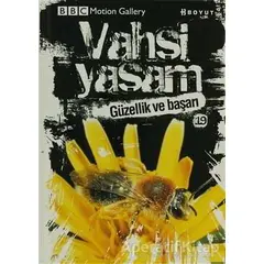 Vahşi Yaşam 2 - Güzellik ve Başarı - Kolektif - Boyut Yayın Grubu