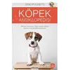 Köpek Ansiklopedisi - Gino Pugnetti - Arkadaş Yayınları