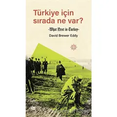 Türkiye İçin Sırada Ne Var? - David Brewer Eddy - Mahya Yayınları