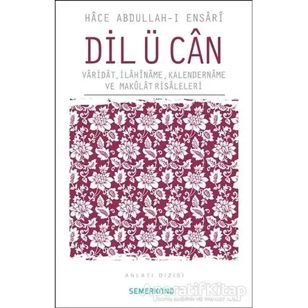 Dil Ü Can - Hace Abdullah-ı Ensari - Hacegan Yayıncılık