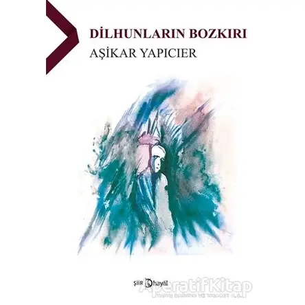 Dilhunların Bozkırı - Aşikar Yapıcıer - Hayal Yayınları