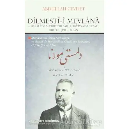 Dilmesti-i Mevlana ve Gazalide Marifetullah, Rubaiyyat-ı Gazali, Orfide Şir ve İrfan