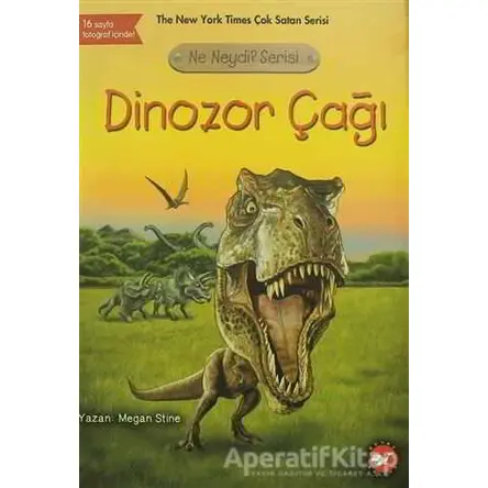 Dinozor Çağı - Ne Neydi? Serisi - Megan Stine - Beyaz Balina Yayınları