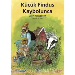 Küçük Findus Kaybolunca - Sven Nordqvist - Dinozor Çocuk
