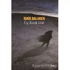 Üç Kırık Dal - İdris Baluken - Dipnot Yayınları