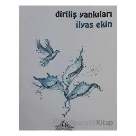 Diriliş Yankıları - İlyas Ekin - Cağaloğlu Yayınevi