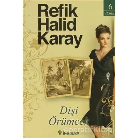 Dişi Örümcek - Refik Halid Karay - İnkılap Kitabevi