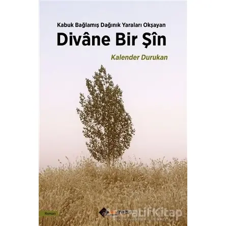 Divane Bir Şin - Kalender Durukan - Aryen Yayınları