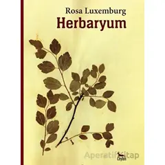 Herbaryum - Rosa Luxemburg - Ceylan Yayınları