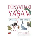 Dünyadaki Yaşam - Steve Jenkins - Kuraldışı Yayınevi