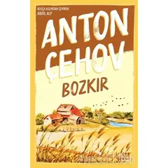 Bozkır - Anton Pavloviç Çehov - Dokuz Yayınları