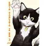 Kedim Oyunlarım ve Ben 3 - Wataru Nadataniye - Athica Yayınları