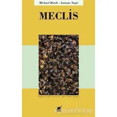 Meclis - Antonio Negri - Ayrıntı Yayınları