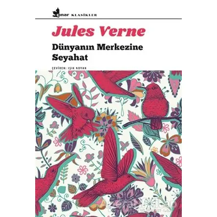 Dünyanın Merkezine Seyahat - Jules Verne - Çınar Yayınları